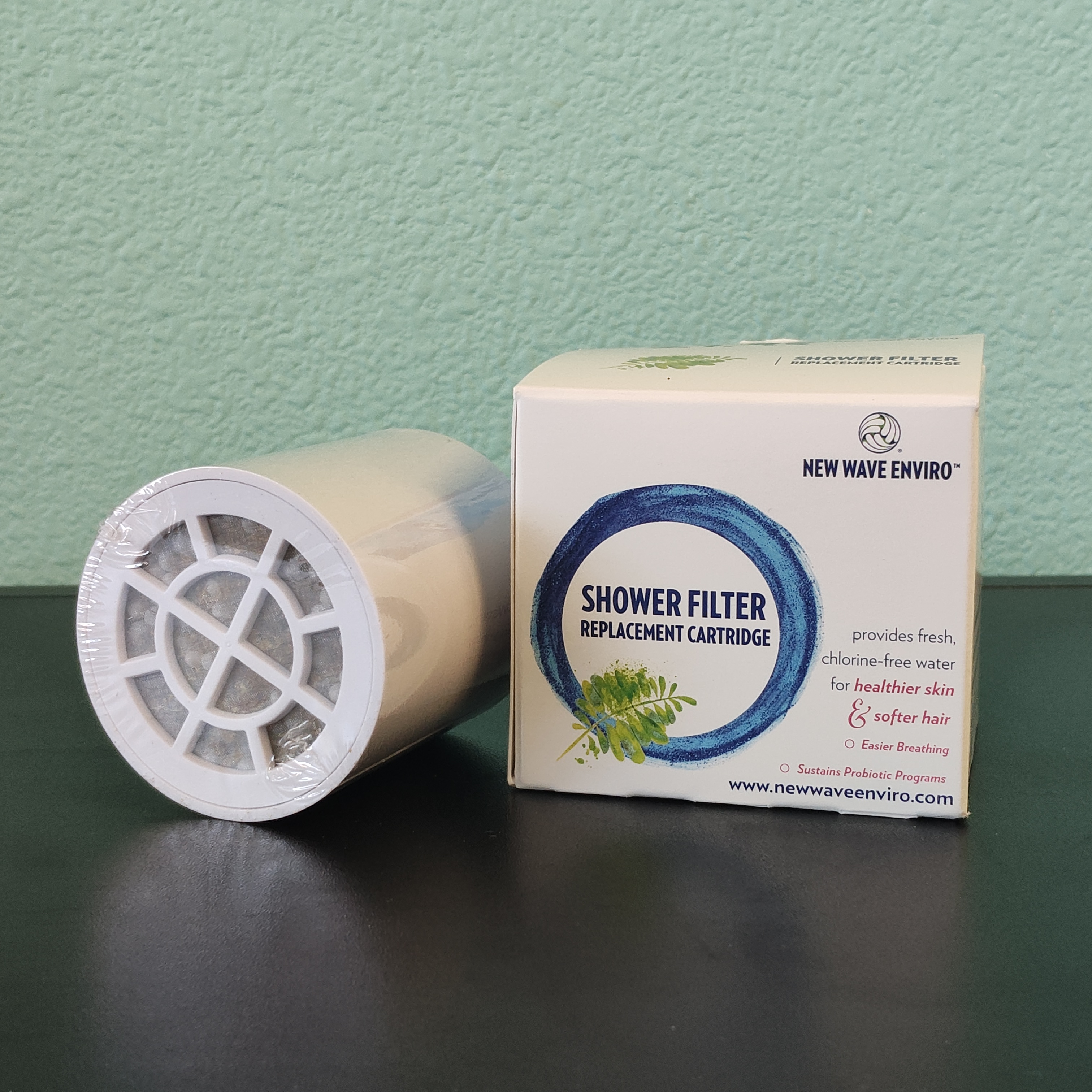 Replacement For Shower Filter