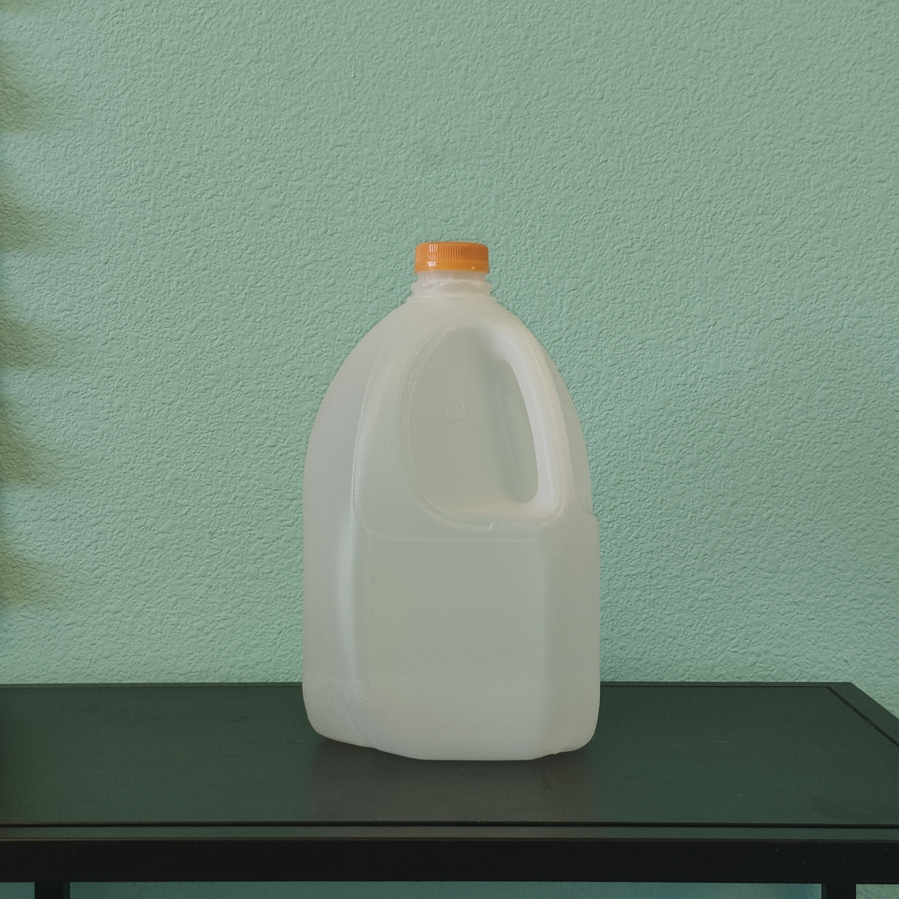 1 Gallon Milk Jug